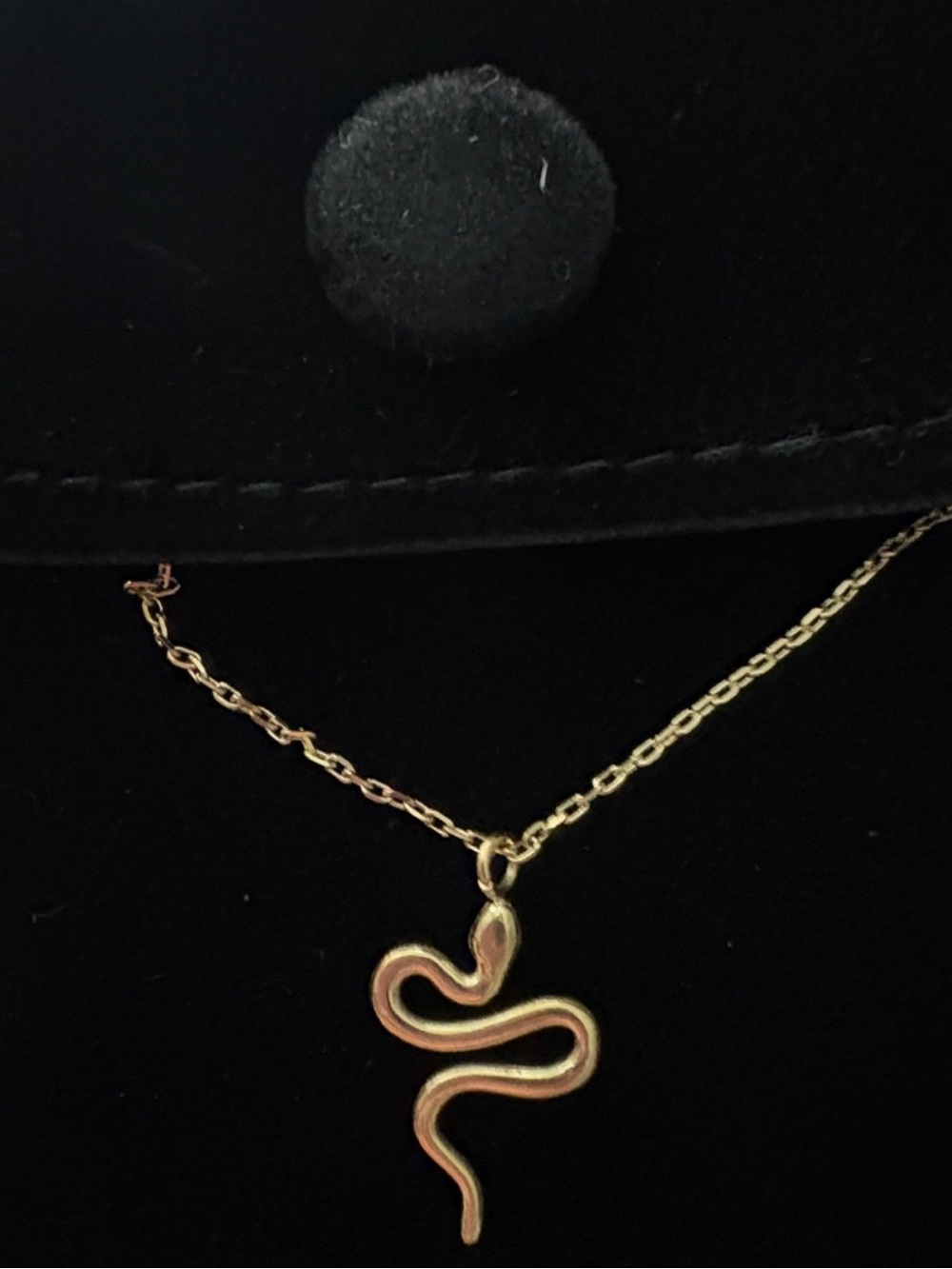 Plunder Private Label Minimalist Gold Snake Pendant Necklace
